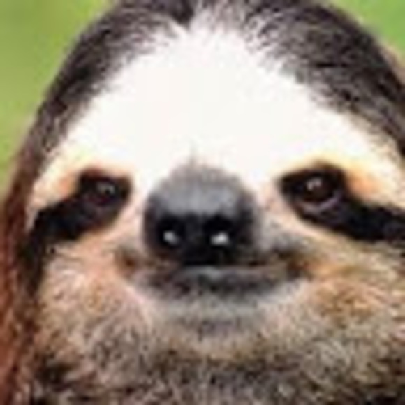 alfredamc